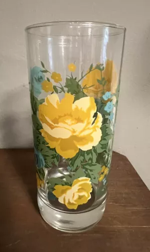 Pioneer Woman Rose Shadow Drinking Glasses Tumbler Set of 2 Floral Yellow Teal