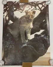 Original 1977 13-415 Lioness Pro-Arts Inc Lion Poster 20”X 28” Rare