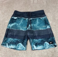 O  Neill Board Shorts Gray Green Drawstring Size 32