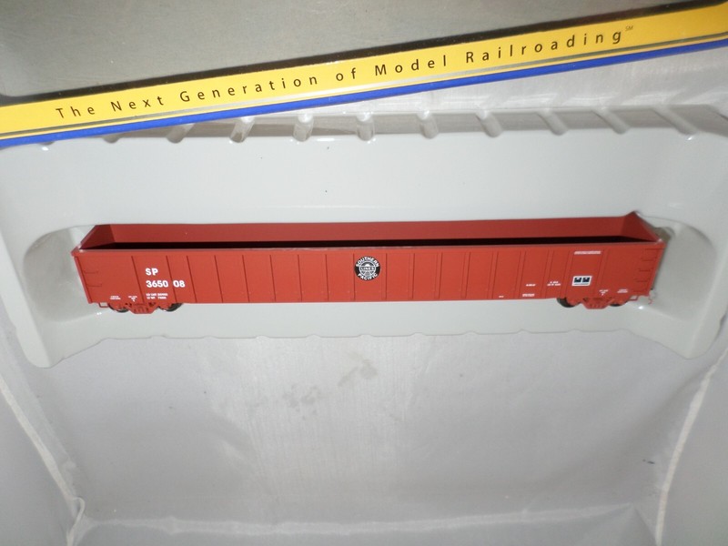 ExactRail Platinum HO Southern Pacific SP 65' Thrall 3564 RS Gon "Lines" #365008