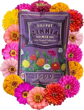 Zinnia Seeds for Planting Outdoors - ~1,500 Lilliput Semi-Dwarf Zinnia Seeds - D