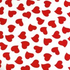 Bild 6 von 25