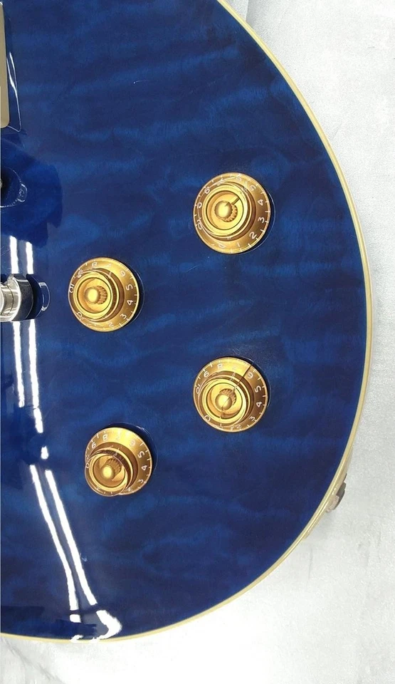 Gutiar eléctrico usado EDWARDS E-LP-100SD/QM Foto 2 de 4