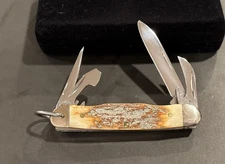 🔥 2008 Case XX Legal Mammoth  Jr Scout Pocket Knife Ultra Rare