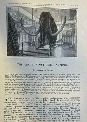 1900 Mammoth in the Smithsonian Institution Washington DC illustrated - Picture 4 of 4