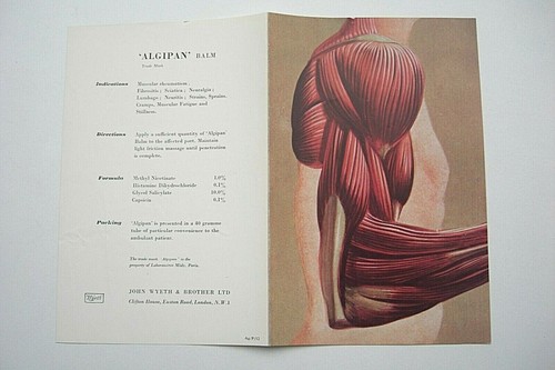 Original Algipan Balm Advertising leaflet Illustrated Superficial Muscles of Arm