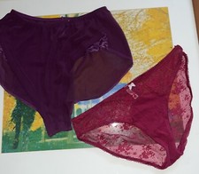 Vintage Maidenform Large Sheer Panties