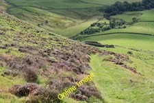Photo 6x4 Sheep shelter on Bellybought Hill Morton Mains Sheep shelter on c2013