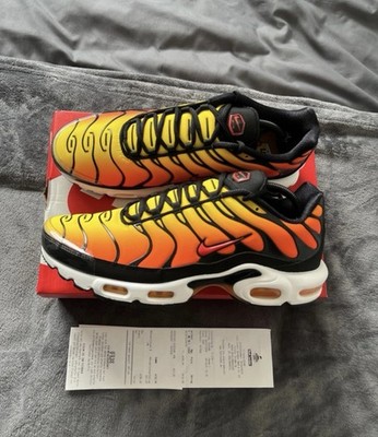 Nike Air Max Plus 1  Tiger  EU 46 HF0552-001