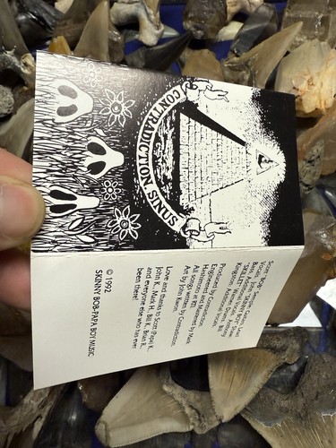 1992 CONTRADICTIONS SINUS DEMO ROCK CASSETTE RARE UNDERGROUND - Imagen 6 de 6