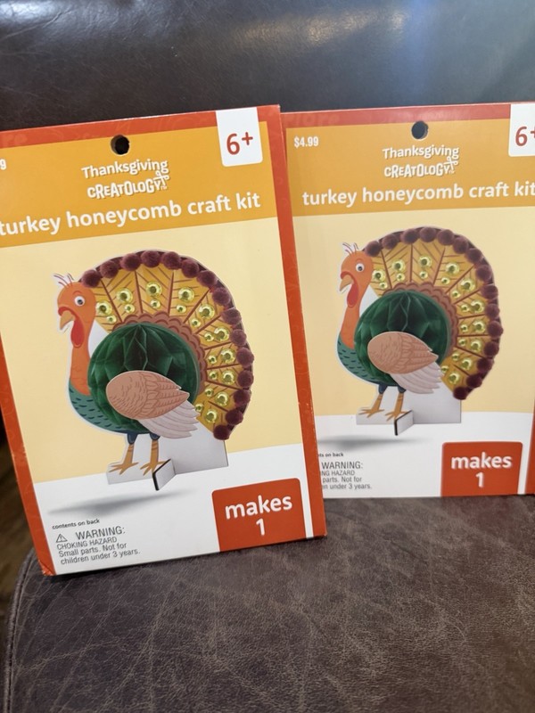 NEW In Boxes Set Of 2 Turkey Honeycomb Craft Kit