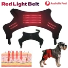 Pet Red Light Physiotherapy Pad 660/850nm Auto Joint Infrared Pain Relief Dog AU