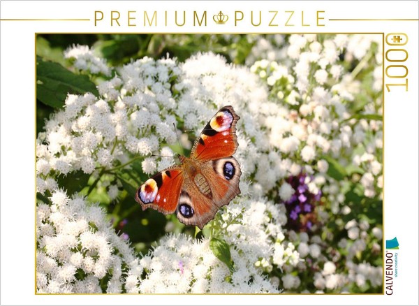 Calvendo Puzzle Common Peacock Butterfly On White Flowers | 1000 Pieces, Finishe-image
