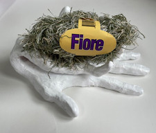 Fiore Designer Yarn Color 002 Green White - Polyamide Viscose Blend 50g 1 Ball