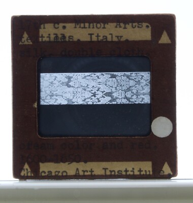 35mm Esco Slide Photograph Chicago Art  Institute 