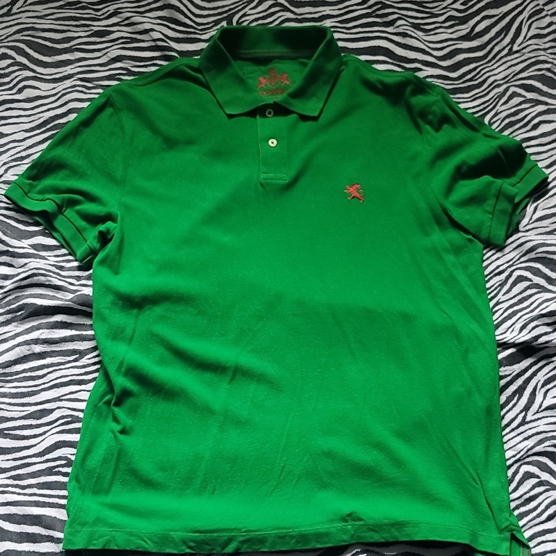 Express Men’s Solid Green Short Sleeve Polo Shirt L Collared Cotton Embroidered