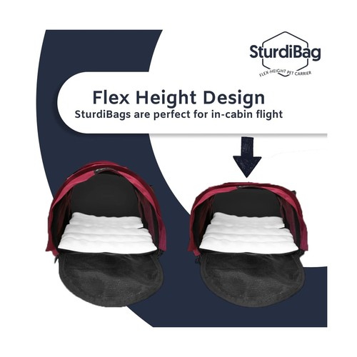 SturdiBag XL Pet Travel Carrier: Flexible Height for Cat and Dog Soft Sided w... - Picture 6 of 6