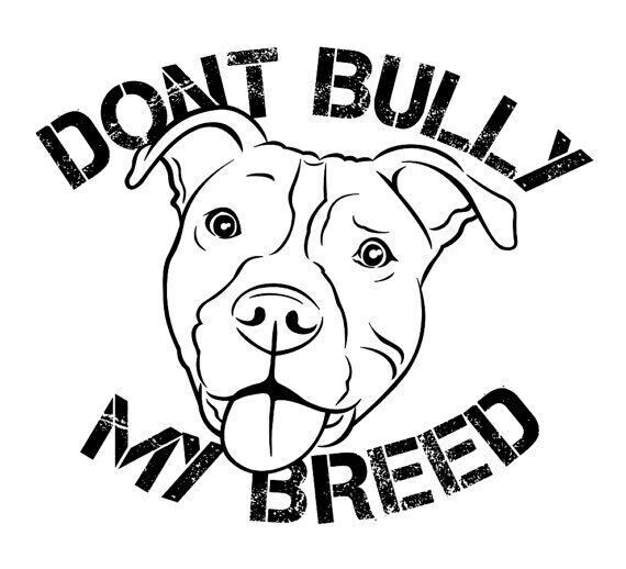 AMERICAN BULLY Xl Slogans Dont Bully My Breed Digital Download 