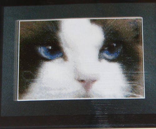 New Thea Gouverneur "SMOKEY" + "BLUE" Counted Cross Stitch Kit - Both Cats - Picture 2 of 9