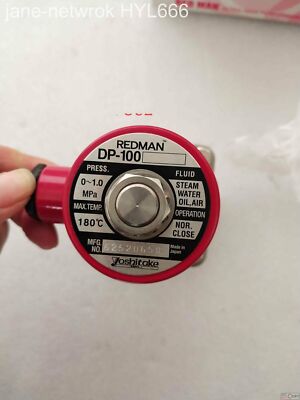 1PCS NEW  REDMAN DP-100  (DHL or Fedex ) #WD10