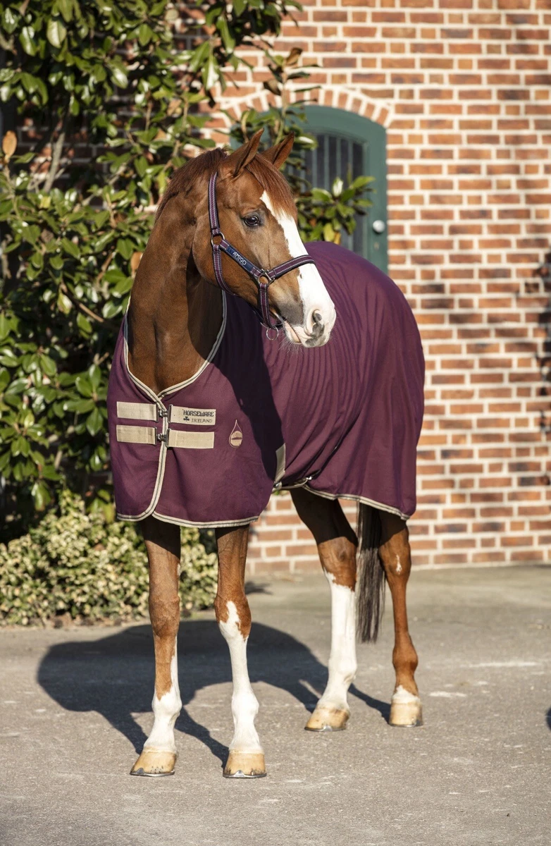 Amigo Jersey Cooler fra Horseware fås