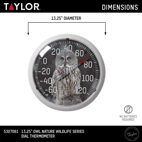 Nature Series Indoor Outdoor Owl Thermometer, Easy to Read Wall Decor for Pat... - Bild 4 von 6