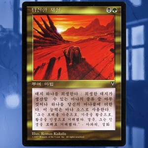 Squandered Resources Mtg | eBay