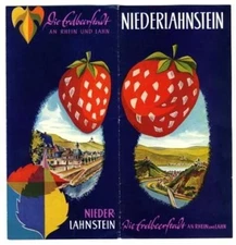 Nieder Lahnstein Brochure Germany 1960's Strawberry 