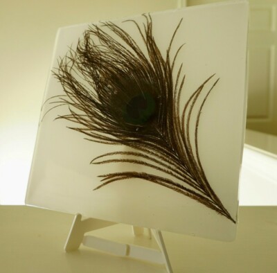 Real Peacock Feather Resin Frame | Handcrafted