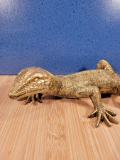 Wanddeko Gecko Deko Figur Leguan Waran Eidechse Salamander Skulptur 33cm gold