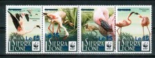 SIERRA LEONE 2025 FAUNA Animals. Birds FLAMINGOES WWF - MNH