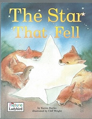 The Star That Fell (Picture Ladybirds), Hayles, Karen