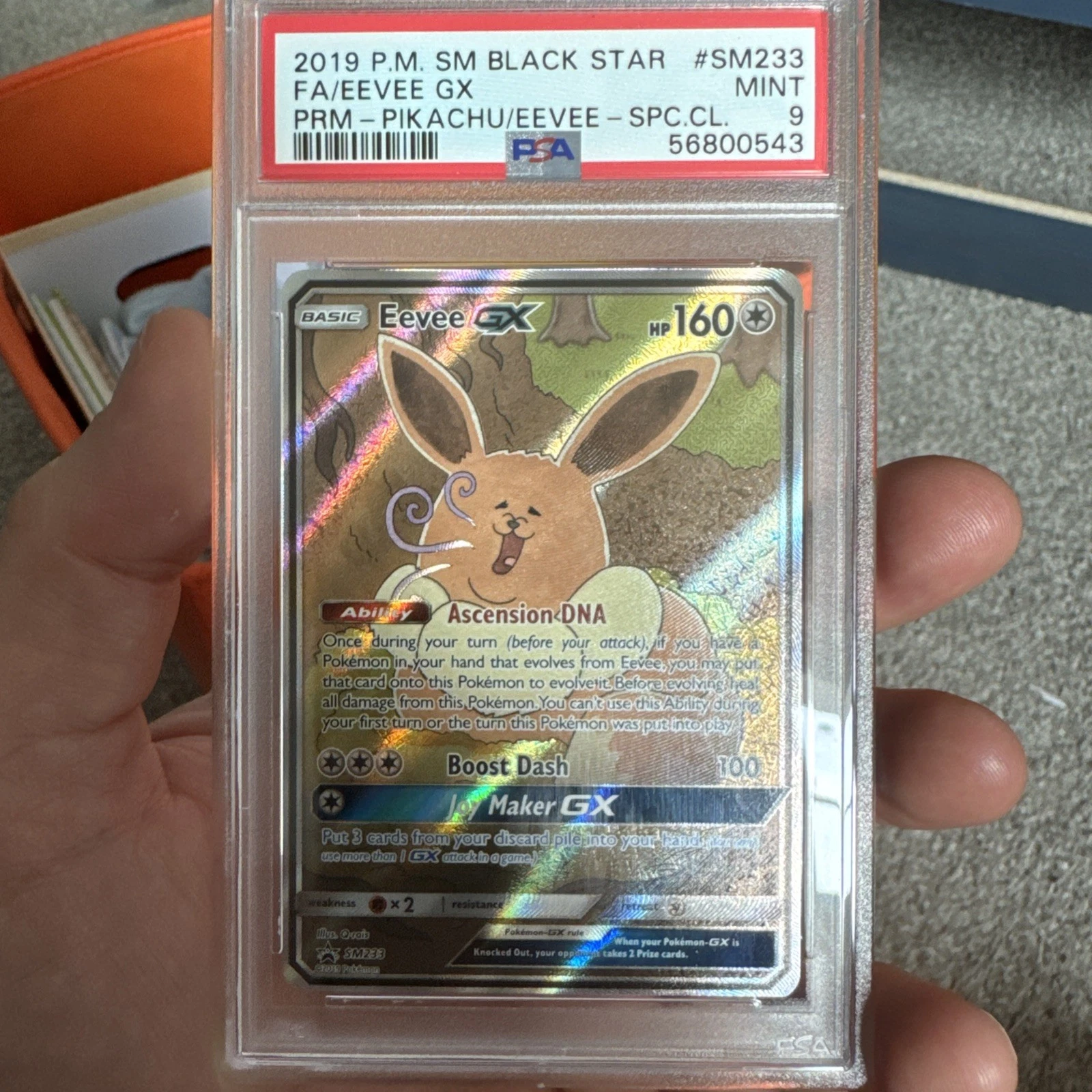 eBay