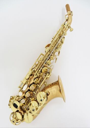 Yanagisawa SC-WO20 Bronze Curved Elite Professional Soprano Saxophone Japan - Afbeelding 1 van 7