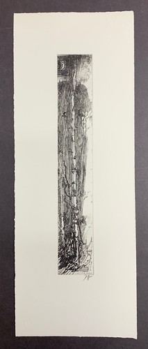 Horst Janssen Waldrand Radierung 1982 handsigniert - Bild 1 von 4