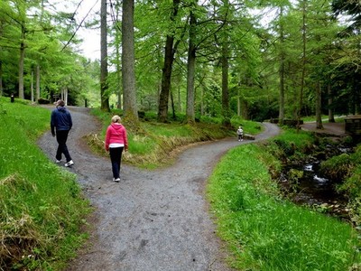 Foto A3 Wege, Gortin Glens Park Lislap Mama und Papa gehen in eine Richtung, Kind c2013