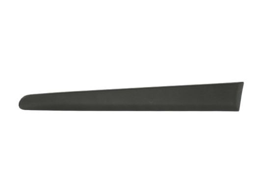 Left Rear BLIC 5703-04-2027477P Trim/Protection Strip, wing for ,FIAT