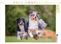 Calvendo Puzzle Zwei Australian Shepherd In Action | 2000 Pieces, Finished Size