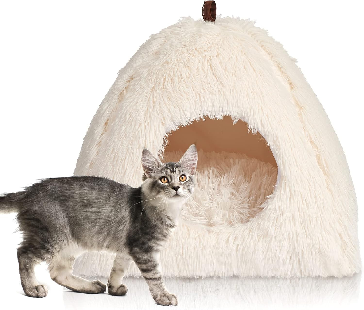 Cuccia per Gatti Calda Copertura Con Cuscino Morbido Rimovibile E Lavabile (40 X
