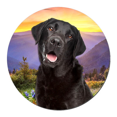 BLACK LABRADOR DOG Large  Pendant Charm GERMAN Silver 20'' Necklace Chain Gift