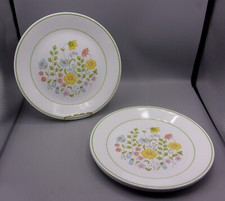 5 Vintage Corelle Spring Meadow Dinner Plates 10-1/4" Green Trim