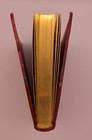 Bild 8 von 9