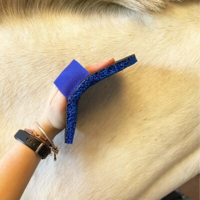 Smart Grooming Super Groomer BLAU - weicheres Material, Anwendung auf Schlamm, Shampoo, Baden