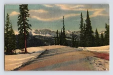 Postcard Colorado Monarch Pass CO Route 50 Summit 1940s Unposted Linen
