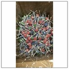 300 x Vidal Tongue Painter Lollipops – Loose Bulk – Assorted Colours Retro Swee