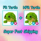 Adopt from Me - Nfr Turtle-Fr Turtle - The Trusted Store!