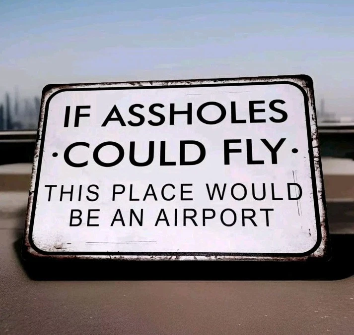 Blechschild Wenn Arschlöcher fliegen lustig Spruch Geschenk Zustand sehr gut  - Bild 1 von 1