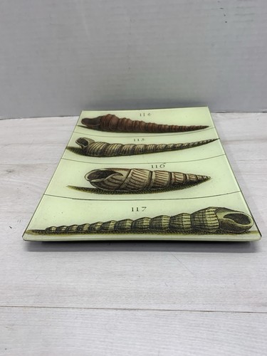 John Derian Co. Signed Decoupage Glass Shell Plate 10.5 X 8 - Picture 4 of 4