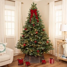 Northlight Real Touch™️Pre-Lit Full Blue Spruce Artificial Christmas Tree -
