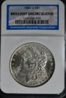 1884-O  Morgan Dollar NGC Brilliant Uncirculated